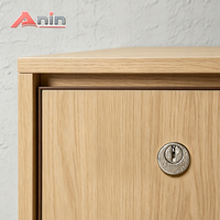 Serrure à came en laiton et alliage de zinc de haute qualité, design moderne, 15 mm de profondeur, finition barillet, pour armoire de cuisine, 2 clés, marque Anin