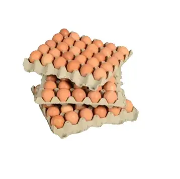 Farm Fresh Chicken Table Eggs Braune und weiße frische braune weiße Tafel eier