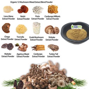 Pure Natuurlijke Polysacchariden Antrodia Camphorata <span class=keywords><strong>Extract</strong></span> Biologische Paddenstoel <span class=keywords><strong>Extract</strong></span> Antrodia Camphorata <span class=keywords><strong>Extract</strong></span> Poeder - Product Image 4