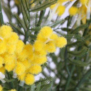 GW001 Artificielle D'acacia Farnesiana Mimosa Doré Pour La Décoration De La Maison - Product Image 5