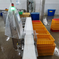 Fruit Kip Gewicht Sorteren Machine Gemaakt In China Fabrikant Waterdichte Automatische Digitale Transportband Voor Vlees Zeevruchten