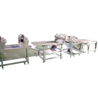 Ligne de machines à laver les fruits et légumes à bulles d'air pour avocat et mangue avec équipement de séchage et de déshydratation pour le nettoyage des légumes