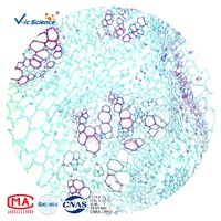 Educational Supplies 76 Kinds Glass Microscope Slides Teaching Resources for Microscopes
