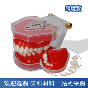 Maniquí de Enseñanza Dental, Modelo de Dientes de Resina Desmontable de Boca Completa para Educación en la Cavidad Bucal y Simulación de Práctica de Extracción - Product Image 5