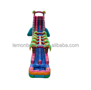 Vente flash : Toboggan aquatique gonflable géant commercial avec <span class=keywords><strong>piscine</strong></span> à jets d'eau, toboggan gonflable humide et sec adapté aux adultes et aux enfants, <span class=keywords><strong>pour</strong></span> l'extérieur - Product Image 5