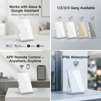 Interrupteur intelligent Zigbee sans neutre avec prise en charge SAA Australie, Tuya, Alexa, Google Assistant, 1/2/3/4 gangs, 2 voies, panneau tactile en verre