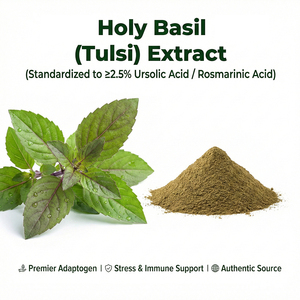Extracto Natural de Hoja de Albahaca con Alto Contenido de Ácido Ursólico y Ácido Rosmarínico, Polvo de Grado Alimenticio, Directo de Fábrica - Product Image 1