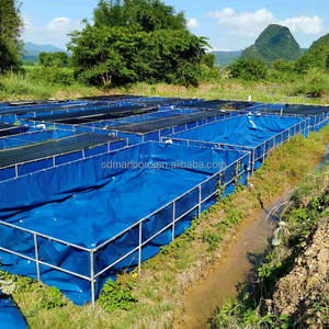 <span class=keywords><strong>Bassin</strong></span> à poissons pliable en PVC, <span class=keywords><strong>rectangulaire</strong></span>, pour l'élevage <span class=keywords><strong>de</strong></span> crevettes, aquarium pour l'agriculture, avec structure entièrement en acier - Product Image 1