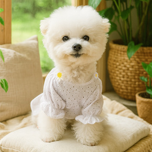 Cool Fresh Summer Pet Daisy Tulle Skirt Patterns <b>Clothes</b> Dog Shirts T Shirt Pet <b>Clothes</b> Pet Dresses <b>Clothes</b> - Product Image 2