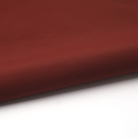 Veste d'extérieur de haute qualité en tissu DTY, laminé TPU, 100% polyester, imperméable, tissu softshell