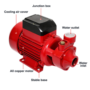 <span class=keywords><strong>Pompe</strong></span> à eau portable de qualité garantie à prix compétitif QB80 1HP 36L/min pour l'entretien de la maison, du jardin, de la ferme, de la <span class=keywords><strong>piscine</strong></span> et du bassin - Product Image 2