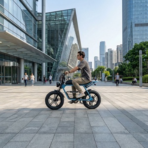 Urban Premium Vintage Fatbike E-Bike mit LCD-Display, City-Elektrofahrrad für Messezentren und Anfahrtsplassen - Product Image 3