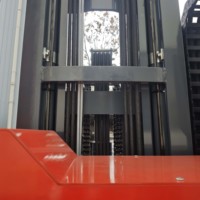 Piccolo Carrello Elevatore Elettrico a Batteria al Litio Nuovo per Fattoria 1,5-3 Tonnellate con Caricatore Laterale
