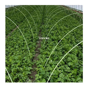 Varilla de FRP de Alta Resistencia de 6mm y 8mm para Invernadero, Poste de Pultrusión de Fibra de Vidrio Sólido y Duradero, Liso para Construcción, Cortable y Roscado - Product Image 6