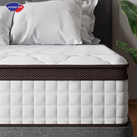 Le meilleur matelas d'usine AUSSIE Leland Koala Twin Single Full Size King Size Matelas en gel de latex à mémoire de forme Matelas à ressorts