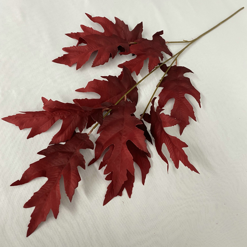 9 feuilles d'éléphant