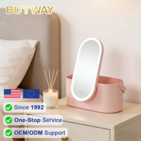 Miroir de maquillage LED portable 24,1x10,5 cm avec boîte de rangement, double alimentation 3 piles AAA + USB, 30 LED, intensité réglable par toucher, étui de voyage pour femmes