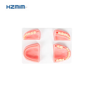 Modello di formazione dentale umano con denti in resina per uso alimentare Silicone sutura Pad per la pratica per le scuole e gli ospedali - Product Image 2