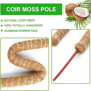 Poteau en mousse <span class=keywords><strong>pour</strong></span> plantes Monstera Poteaux en mousse <span class=keywords><strong>pour</strong></span> l'escalade Bâtons de plantes pliables Supports de plantes <span class=keywords><strong>pour</strong></span> intérieur/extérieur - Product Image 4