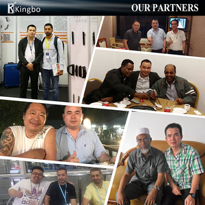 Anh thị trường gấp cửa Con lăn bản lề xử lý Bi-Fold nhôm phụ kiện phần cứng màu đen Heavy Duty pivot dưới - Product Image 6