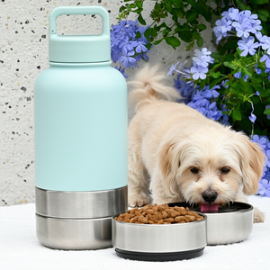 OEM 3 em 1 parede dupla aço inoxidável cão alimentação garrafa de água <span class=keywords><strong>Pet</strong></span> Outdoor Travel Food Drinking Bottle - Product Image 1