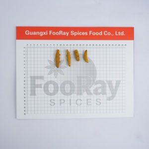 10g de Raíz de Cúrcuma Premium Entera, Especia Auténtica, Muestra de Prueba, Control de Calidad, Envío Aéreo Rápido, Costo Reembolsable - Product Image 2