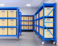 Système de rayonnage à portée longue pour entrepôt, capacité moyenne 300 kg, étagères métalliques robustes avec roulettes