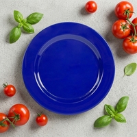Assiettes plates rondes en mélamine bleu cobalt aspect céramique Bestwares en gros – Vente directe usine