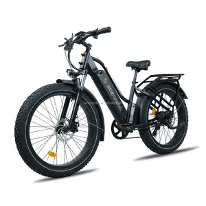 Senada V8 20inch Electric Fat Tire E-bike Wholesale Price 1000w Ebike Fatbike Pickup From USA/EU Warehouse Dirt Off-road Bicycle