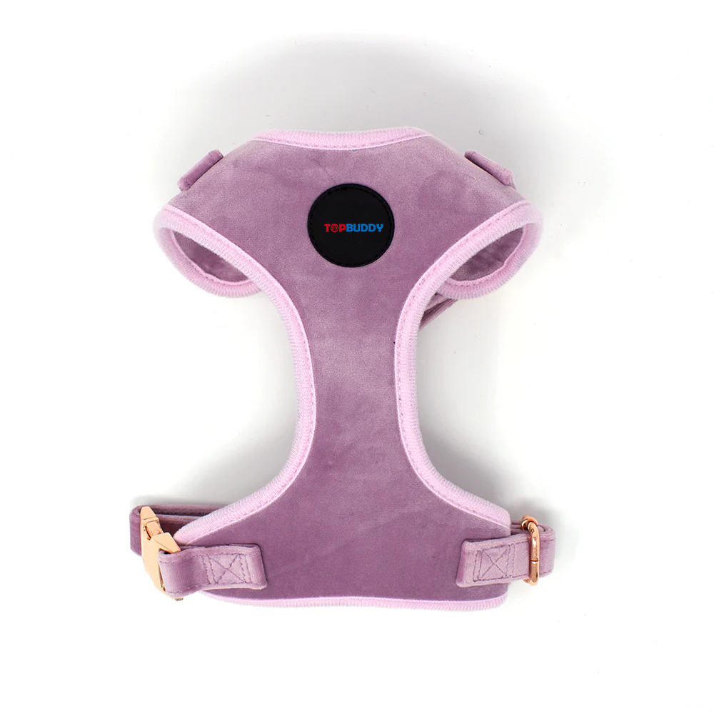 Harness
