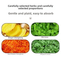 Patch de Soin Santé au Gingembre Japonais, Élastique Quadridirectionnel, Chauffant pour le Cou et le Dos, Plâtre de Moxibustion pour les Douleurs Articulaires