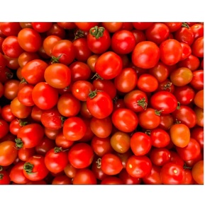Tomate Rojo Fresco de Granja, Cultivado Naturalmente, Tomates Jugosos de Alta Calidad, Grado de Exportación, Vegetal para Cocinar, Ensaladas e Ingredientes Alimenticios - Product Image 2