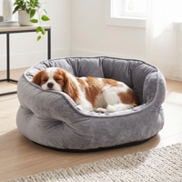 Lit pour animaux de compagnie solide, doux et confortable, de forme ovale, portable, pour le salon, pour le sommeil des animaux de compagnie