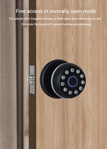 Poignée de porte sans clé avec empreinte digitale et code, serrure intelligente Tuya pour la sécurité des portes intérieures de chambre - Product Image 6