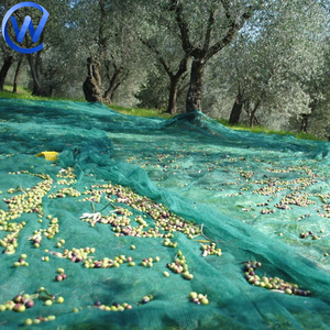 Ô liu thu hoạch Net 6x12 Nut Bộ sưu tập Net cho thu hoạch ô liu giá/cây ăn quả thu hoạch lưới để bắt trái cây để bán - Product Image 1