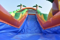 Prêt à expédier jungle toboggan gonflable avec piscine à vendre