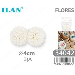 Ilan Flores Teste di Fiori Secchi 4cm 2pz per Decorazioni Artigianali - Product Image 3