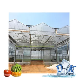 Multi-Span Venlo Polycarbonate Farming Commercial multi span greenhouse PC board greenhouse