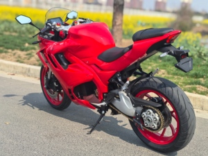 Motocicleta Eléctrica de 2 Ruedas con Motor sin Escobillas y Batería de Litio - Product Image 1