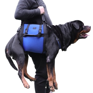 Harnais de levage pour chien, support pour animaux de compagnie, élingue de rééducation, sangles rembourrées respirantes pour les chiens âgés, handicapés, blessés aux articulations, arthrite, promenade - Product Image 2