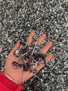 Clous de toiture galvanisés à tête parapluie, tige torsadée pour tôle ondulée, Clavos Para Techo, fixations - Product Image 3