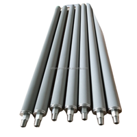 Eléments filtrants poreux micron 20*300mm filetage M10 1 2 5 microns diffuseur d'air en acier inoxydable fritté