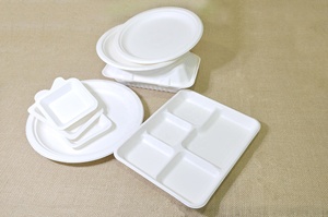 Dùng một lần Takeaway giấy tấm của <span class=keywords><strong>container</strong></span> thực phẩm 100% có thể tái chế phân hủy sinh học và compostable đồ dùng đường mía bã mía vaji - Product Image 3