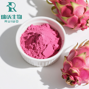 最高品質の卸売食品グレード<span class=keywords><strong>100%</strong></span>天然フレッシュレッドドラゴンフルーツパウダーインスタントパウダーピタヤフルーツパウダーエキス - Product Image 2
