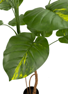 Pianta Artificiale di Pothos Dorato 150cm, Finta Edera del Diavolo con Foglie Variegata, Decorazione da Interni - Product Image 5