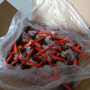 6 بوصة قذائف عرض الألعاب النارية الاحتفال المفرقعات النارية الألعاب النارية - Product Image 5