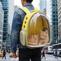 Sac à dos de transport moderne et confortable pour chien, en plastique, avec fermeture éclair, motif uni, type capsule spatiale, capacité 20 kg
