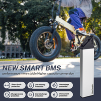 Batterie au lithium 48V en gros pour vélo électrique pliable - 10.4Ah/12Ah/14Ah XP Step Thru 1.0/2.0 Vélo électrique