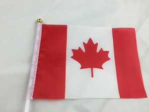 Tùy chỉnh hai mặt tay vẫy cờ Nhà Máy Giá diễu hành sự kiện nhỏ bay cờ với thanh nhựa dính biểu ngữ cờ - Product Image 2