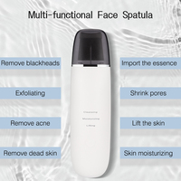 Ventes chaudes : Épurateur de peau ultrasonique pour le visage et le nez, nettoyage en profondeur des points noirs, fréquence ultrasonique 24 kHz, épurateur de peau électrique